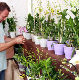 Veja como foi o segundo dia da Feira Gastronômica e Feira de Orquídeas em prol do Outubro Rosa, em Alphaville