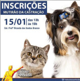 Dia 15, abertura de inscrições para Mutirão de Castração em Santana de Parnaíba