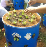 Inscrições abertas para o curso Sustentabilidade na Prática, oferecido pela Secretaria de Meio Ambiente de Barueri