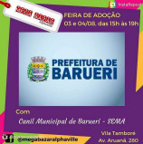 Dias 3 e 4/8: Feira de Adoção e Mega Bazar Alphaville – no Tamboré