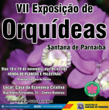 Hoje e Amanhã, VII Exposição de Orquídeas de Santana de Parnaíba