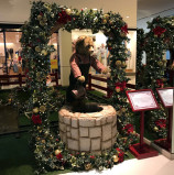 Poço dos Desejos no Iguatemi Alphaville