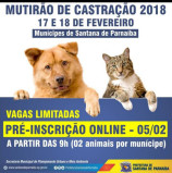 Só HOJE: inscrição para o Mutirão de Castração de Cães e Gatos em Santana de Parnaíba