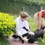 Santana de Parnaíba: Campanha de vacinação antirrábica começou neste sábado (04/08)