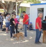 Prefeitura de Barueri informa: Cadastramento para castração e microchipagem de pets ocorre até dia 13/08
