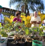 Parnaíba já realizou o plantio de mais de 14 mil árvores em 2018