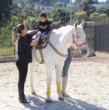 Transformando vidas, Centro de Equoterapia de Barueri completa 2 anos