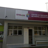 Barueri – Cepad realiza feira de adoção de pets neste sábado, vermifugados, vacinados, castrados e microchipados