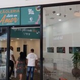 Pets esperam um novo lar em feira de adoção promovida pelo Parque Shopping Barueri, neste sábado