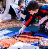 Alunos da rede municipal de ensino reproduziram os tapetes de Corpus Christi na manhã de ontem