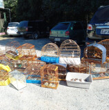 Barueri – Cetas recebe animais vítimas de tráfico da Polícia Civil Ambiental