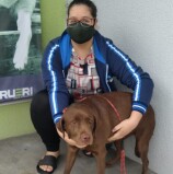 Troca de informações pelas mídias sociais do Cepad ajuda a encontrar animais perdidos