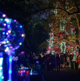 O Natal do Parque Ibirapuera está de volta: repleto de novidades, o evento trará a continuação da fábula encantada focada na fauna e flora do Parque