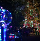 O Natal do Parque Ibirapuera está de volta: repleto de novidades, o evento trará a continuação da fábula encantada focada na fauna e flora do Parque