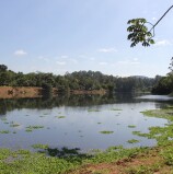 Alphaville – Sema inicia limpeza da lagoa do Parque Ecológico de Barueri com implementação futura do esporte de golfe aquático