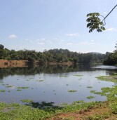 Alphaville – Sema inicia limpeza da lagoa do Parque Ecológico de Barueri com implementação futura do esporte de golfe aquático