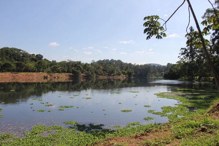 lagoa parque ecologico1.700