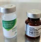 Começa a segunda etapa da vacinação contra Influenza