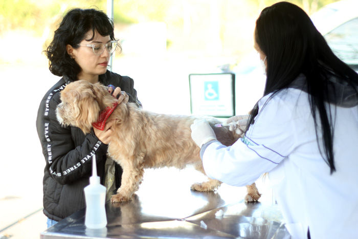 vacina antirrabica barueri