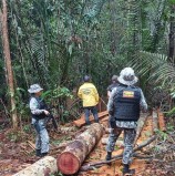 Na COP 27, Brasil apresenta ao mundo seus programas voltados à proteção da Amazônia e outros biomas nacionais
