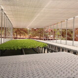 Barueri – Horta da Gente: famílias aprendem o poder da boa alimentação e da sustentabilidade