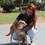 Barueri – Adota Delivery já encontrou um lar para 523 pets desde que foi criado