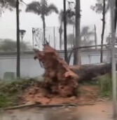 Temporal com fortes ventos em Alphaville causa quedas de árvores e postes causando congestionamento