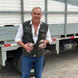 Barueri – Cetas promove a repatriação de 131 animais silvestres