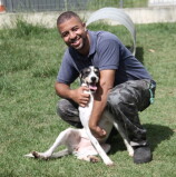 Barueri – Feira Especial de Adoção de Pets retorna neste sábado