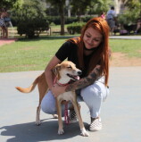 Zoonoses de Barueri orienta sobre os cuidados com a Leishmaniose