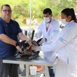 Barueri – Posto fixo de vacinação contra raiva segue imunizando cães e gatos