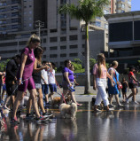 Barueri recebe a 1ª “Cãominhada”