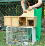 Barueri – Cetas inaugura nova área de soltura devolvendo 66 aves à natureza