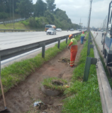 Rodovia Castello Branco: equipes realizam serviços de conservação e limpeza da rodovia