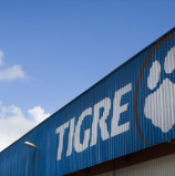 Oportunidade de Estágio – Grupo Tigre abre inscrições para o Programa de Estágio 2025