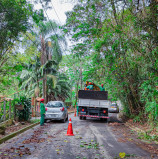 Prefeitura de Santana de Parnaíba intensifica serviço de poda de árvores por toda cidade