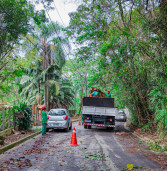 Prefeitura de Santana de Parnaíba intensifica serviço de poda de árvores por toda cidade