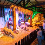 Dica de passeio: Prefeitura de Santana de Parnaíba realiza abertura do Natal de Luz 2024, e programação segue até 6 de janeiro