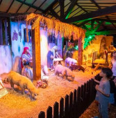 Dica de passeio: Prefeitura de Santana de Parnaíba realiza abertura do Natal de Luz 2024, e programação segue até 6 de janeiro